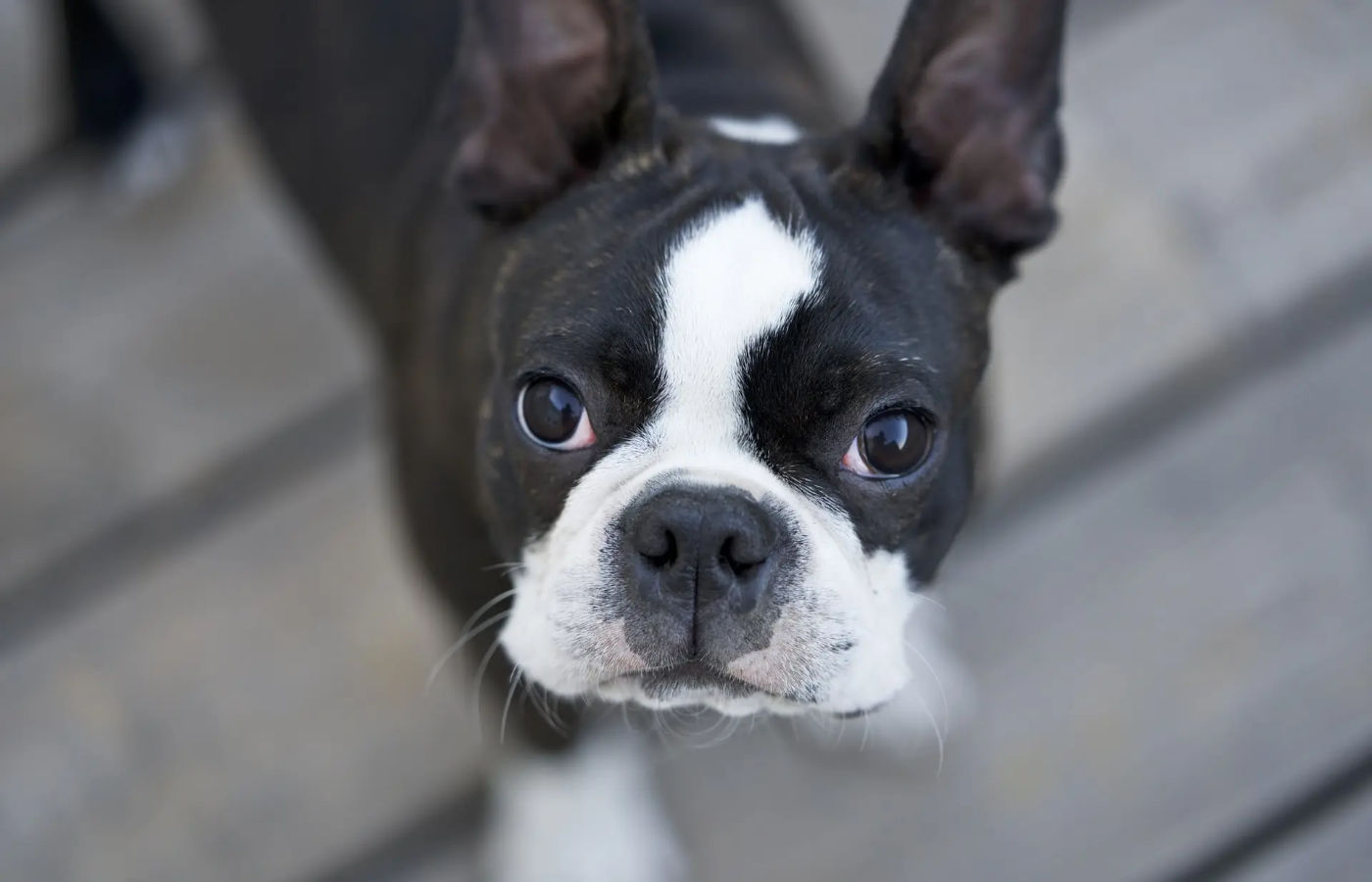 A Story Beats HOOK Example