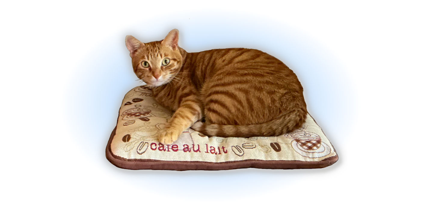 The Case of the Lucky Plot